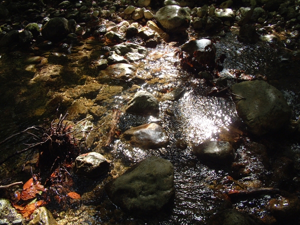 La luce gioca con l''acqua